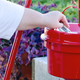 Image for article titled Bisexual Woman Claims the Salvation Army Fired Her for Coming Out